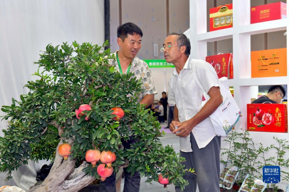 对打返水是怎么赚钱的